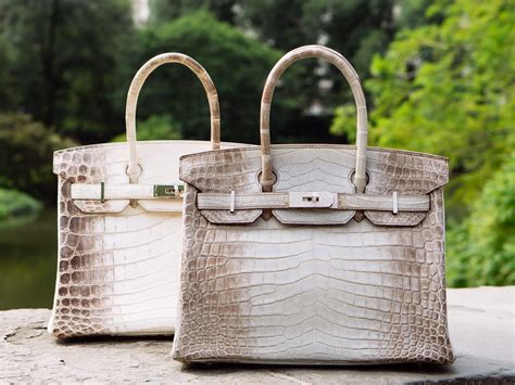 hermes birkin himalaya crocodile diamond|hermes himalayan birkin bag price.